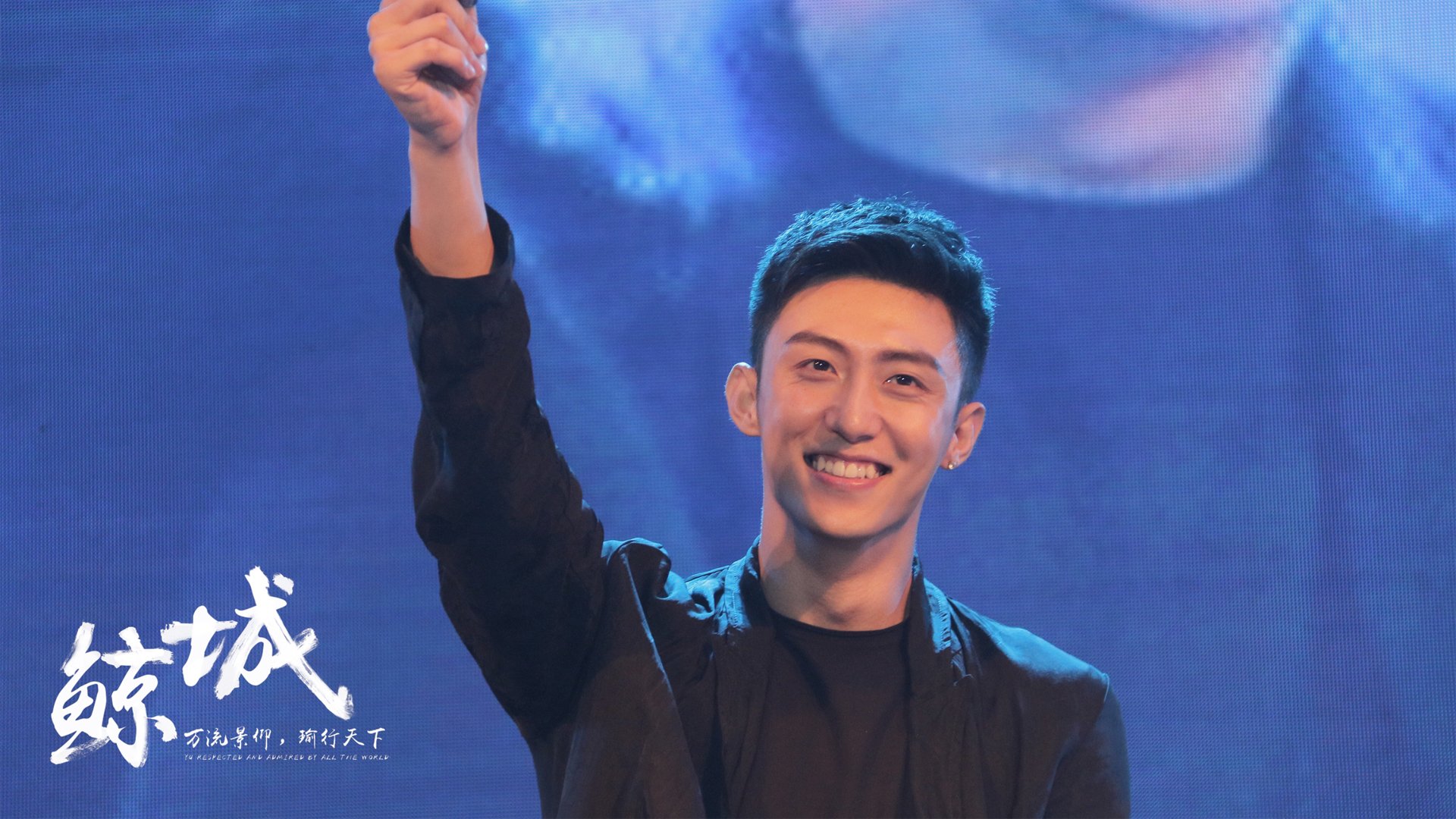 全国女排联赛，巾帼英豪争夺荣耀，全国女排联赛百科