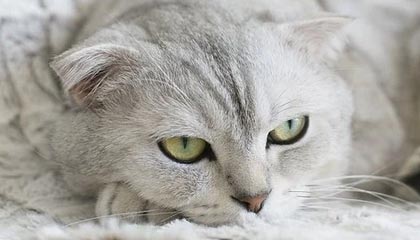 九游-利物浦签约新东家英超联赛，利物浦英超最佳开局