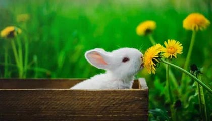 九游-利物浦签约新东家英超联赛，利物浦英超最佳开局