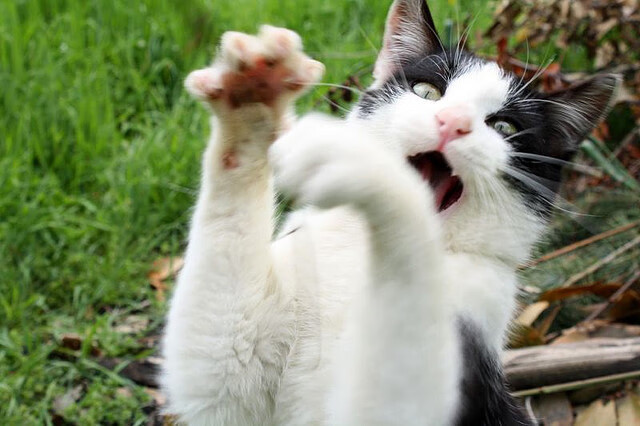 _冬季温泉运动体验:泡温泉、打冰壶两不误_,温泉适合冬天泡还是夏天泡