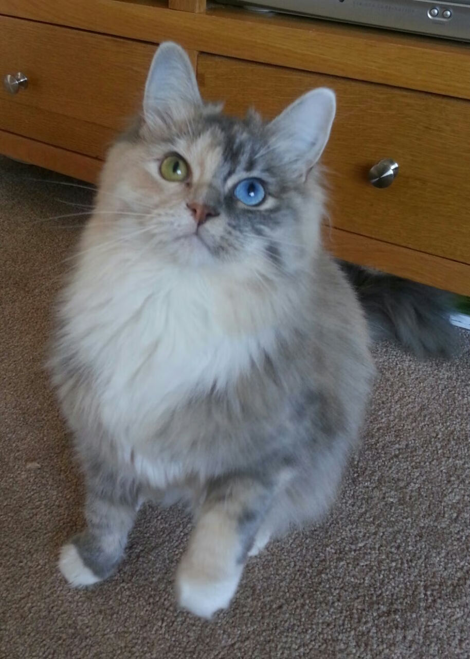 JIU YOU GAME-_海底隧道足球赛：穿越水域的竞技体验_，海底隧道新闻