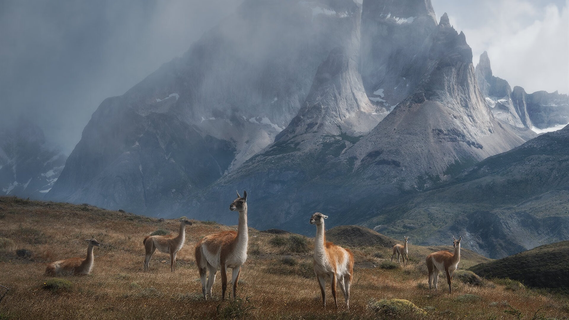 “意甲年轻力量崭露头角，球队冲刺激烈”，意甲队伍