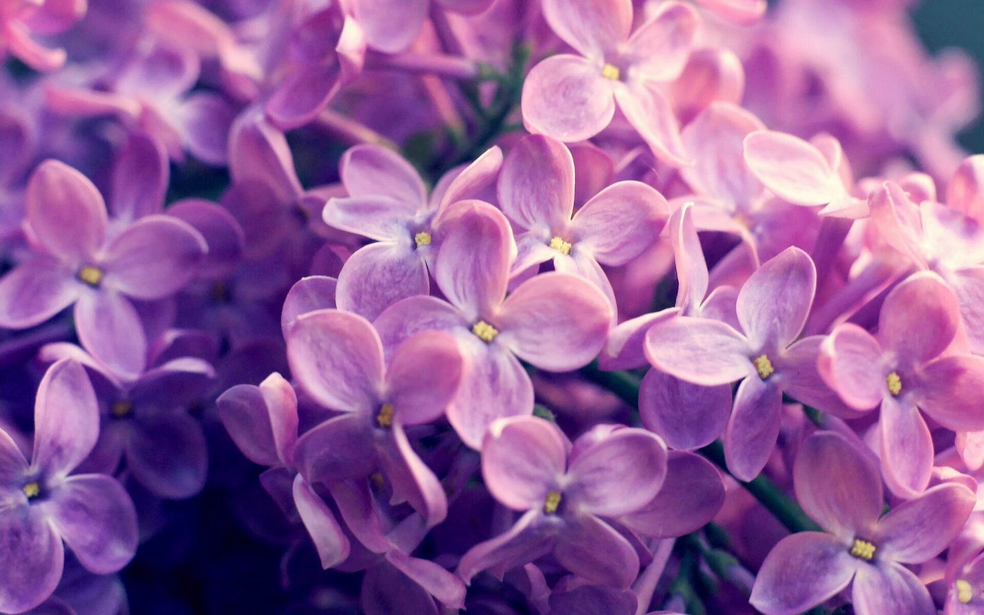 “攻守转换瞬间,战术布局缜密,比赛充满策略与智慧”,攻守战术分别包括