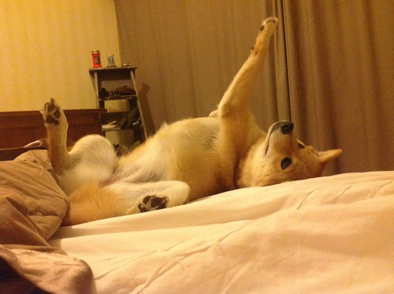 “西甲争冠形势再度复杂化,比赛精彩纷呈”,西甲 争冠