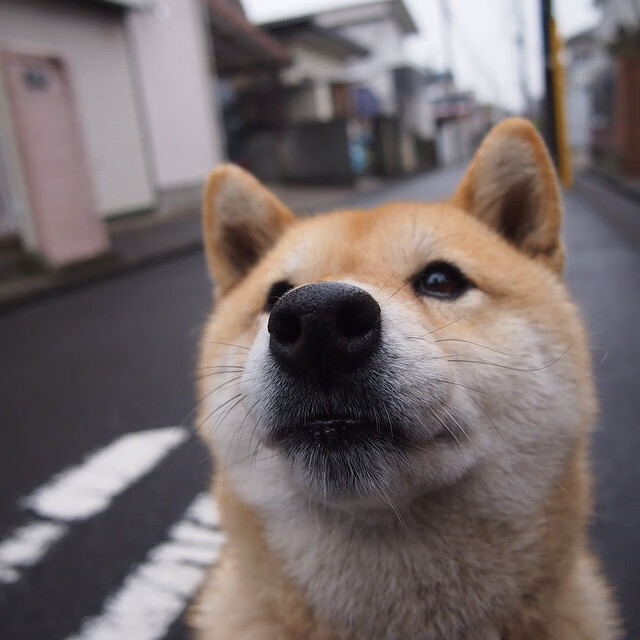 “青训科技持续升级,引入虚拟现实训练提升训练效果”,青训训练内容