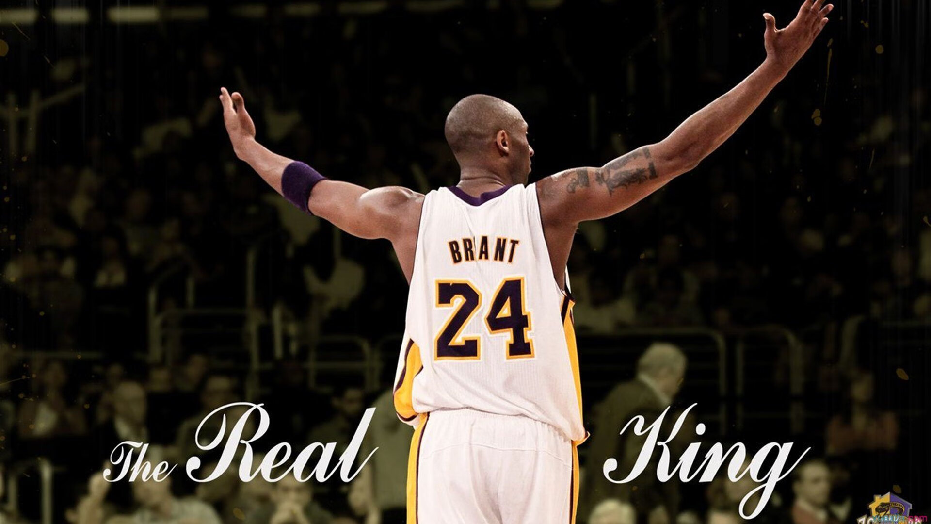 九游下载中心-杰克·阿莱克西完美入水点燃现场氛围，杰克莱斯